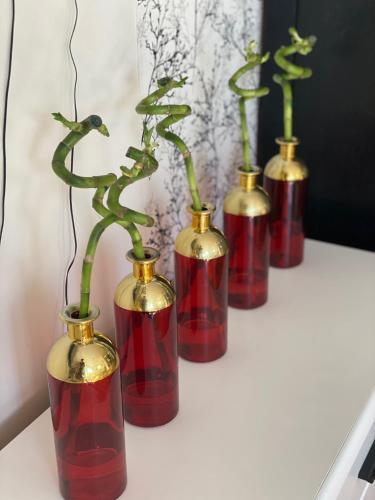 Apartman Fenjer