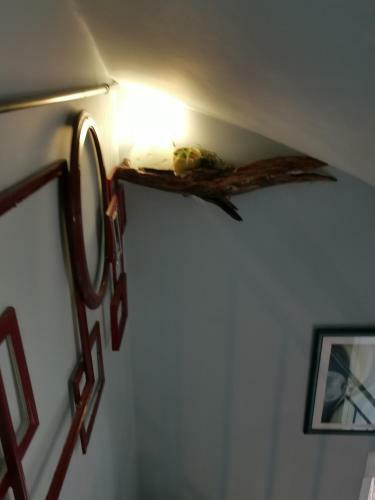 Apartman Fenjer
