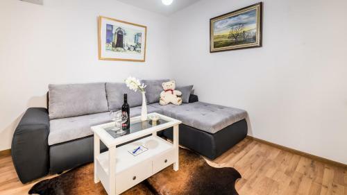 Apartment Krajinovic