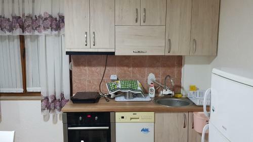 Apartment Centar