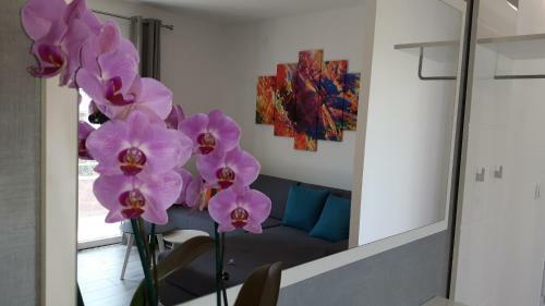 Apartment Relja