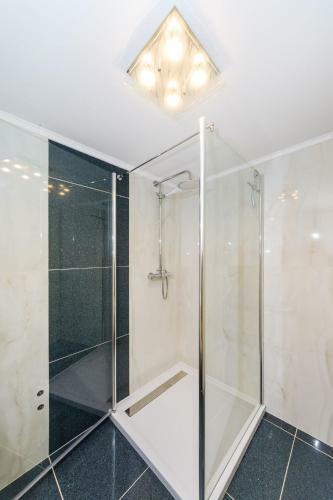 Apartments Silver