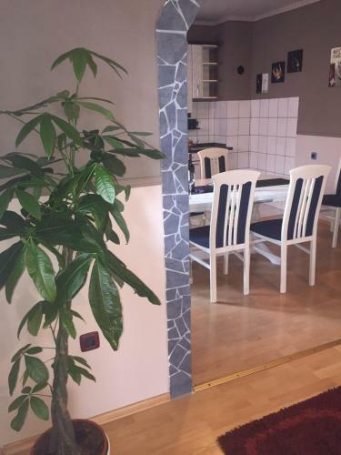 Apartment Dany