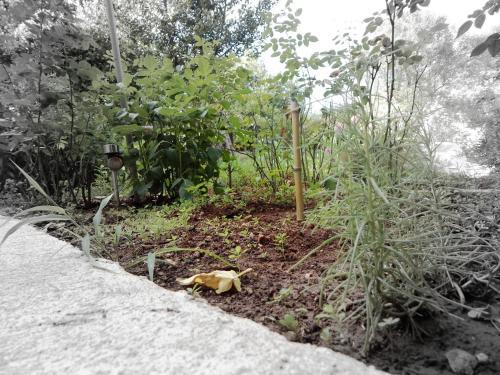 Apartman Marija