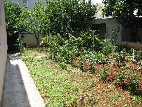 Tihi Apartman