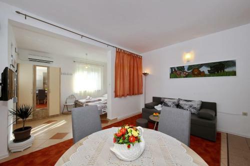 Studio Apartment Visnjik