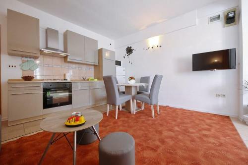Studio Apartment Visnjik