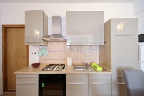 Studio Apartment Visnjik