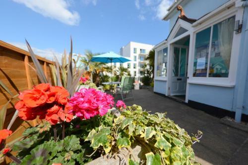 Hostal Blue Palms