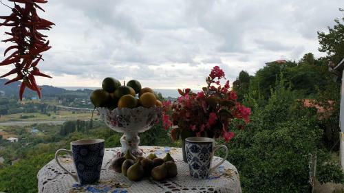 Hostal Chakvi View Guest House