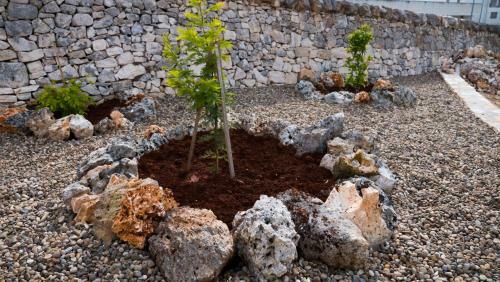 B&B I Trulli Dei Desideri