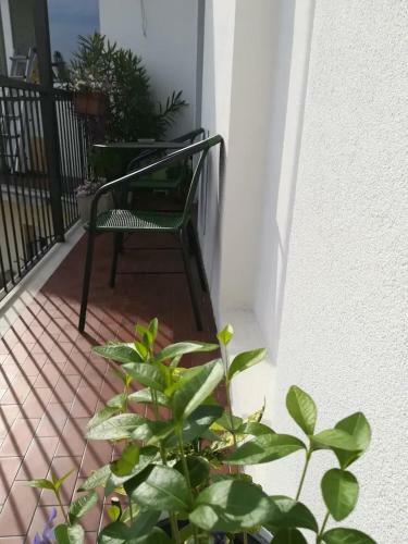 Hostal Dop Guest House