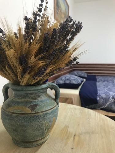 Bed & Breakfast Vytauto Bamso Sodyba