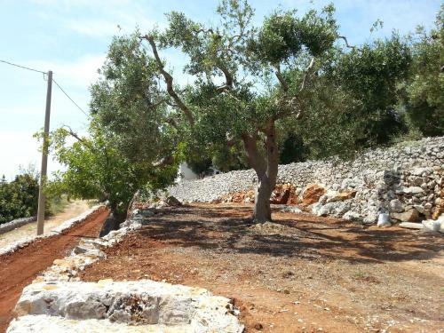 Dimora Ideale Per Coppia Vista Mare Immersa Nel Verde Salento3