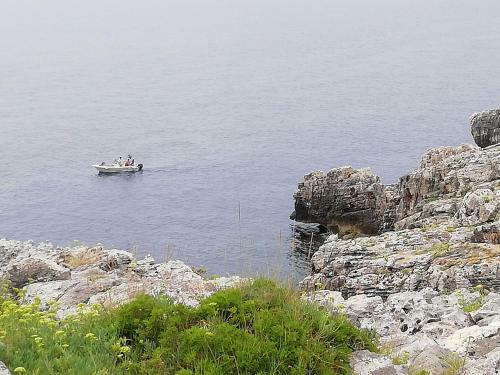 Dimora Ideale Per Coppia Vista Mare Immersa Nel Verde Salento3