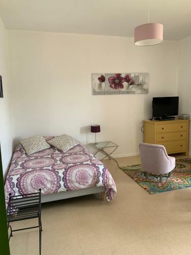 Apartamento Studio Coeur Historique Albigeois