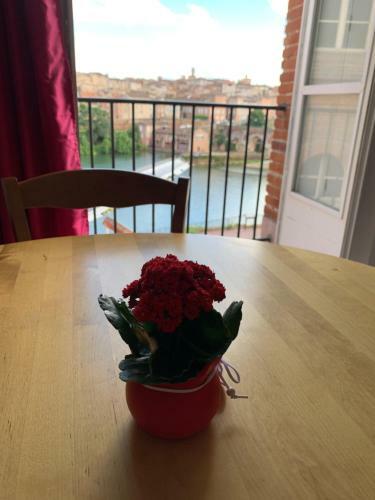 Apartamento Studio Coeur Historique Albigeois