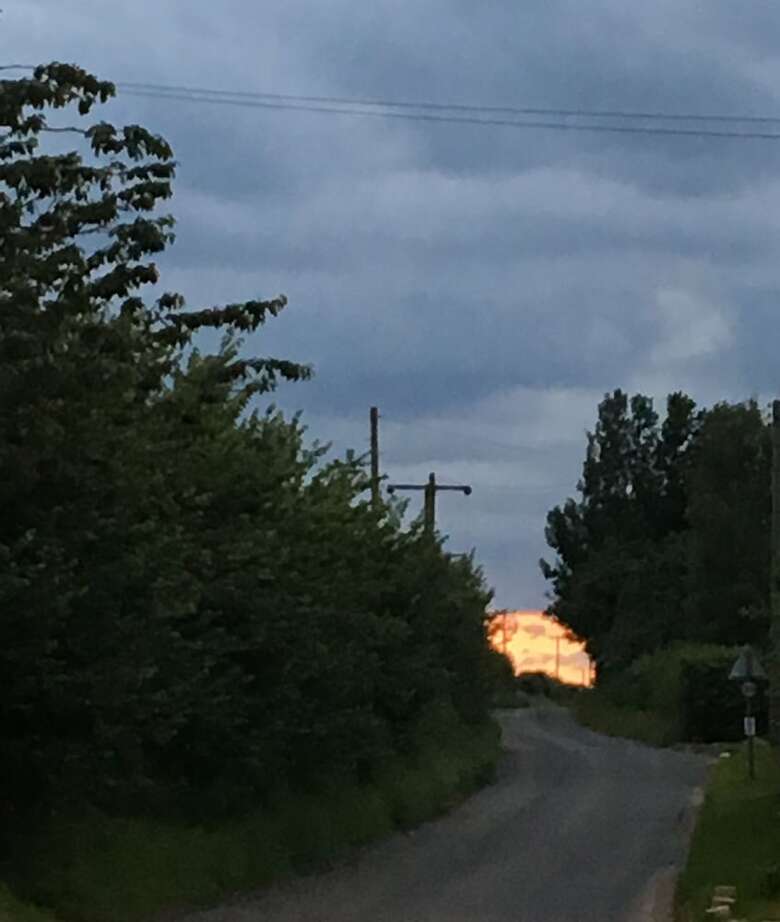 Hotel The Olde Windmill Inn