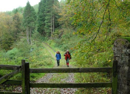 Ballyhoura Mountain Luxury Holiday Lodge No 13