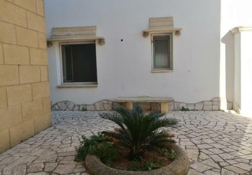 Casa Teresa