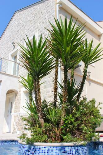 Villa Leut Montesol Tivat Krasici