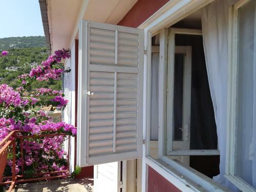 Apartman Vede Ba?ina