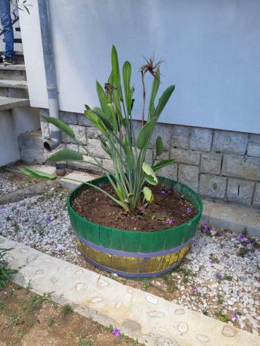 Apartman Vede Ba?ina
