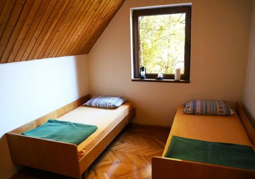 Forest Villa