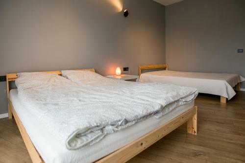 Spacious And Sunny Apartment In Birstonas Center