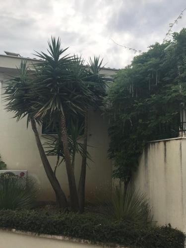 Apartamento ???????? ? ???? ????? ?? ????