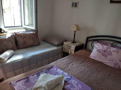 Apartment Cepic