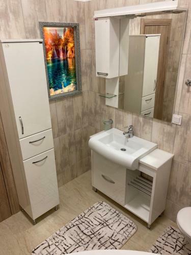 Apartbrajovic67