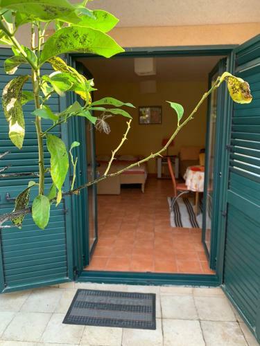 Apartamento Casaboka