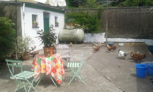 Bed & Breakfast Saint Martin's