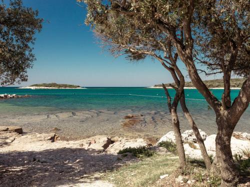 Holiday Home Mon Perin - Roj610