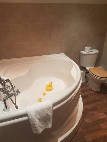 Judds Folly Hotel