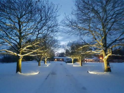Judds Folly Hotel