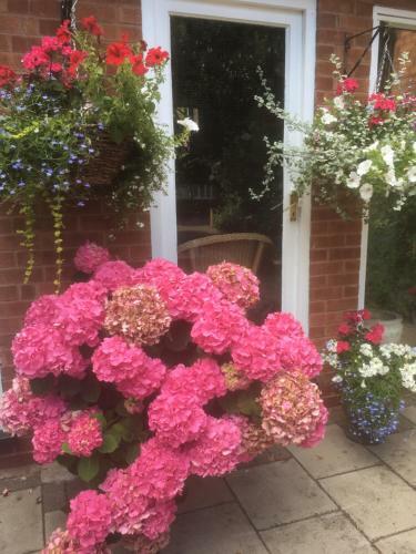 Bed & Breakfast Elmdon Lodge