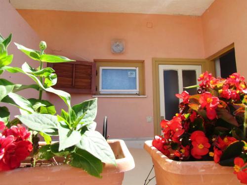 Apartments Opsenica