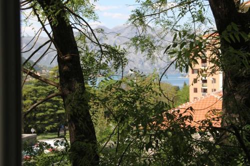 Apartamento Skaljari