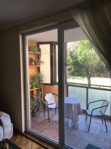 Apartment Linde