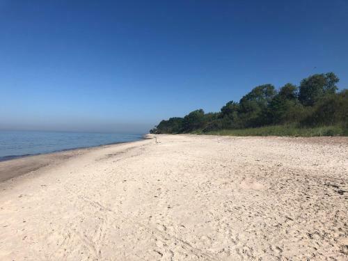 Seaside Wellbeing