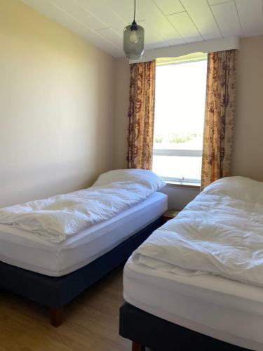 Bed & Breakfast Sy�stib�r Guesthouse