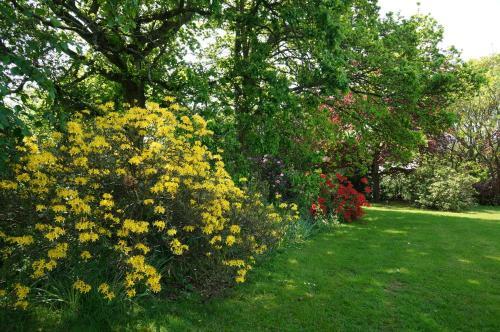 Bed & Breakfast Leyland Suites