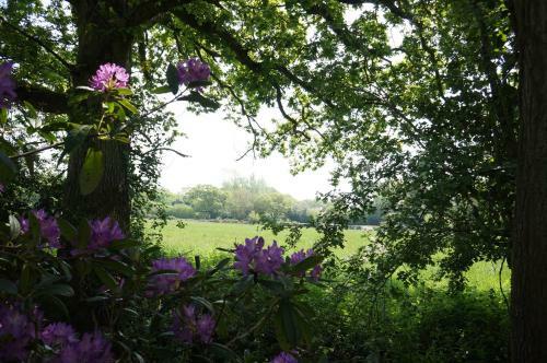 Bed & Breakfast Leyland Suites
