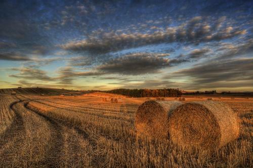 Wiltonburn Farm B&B