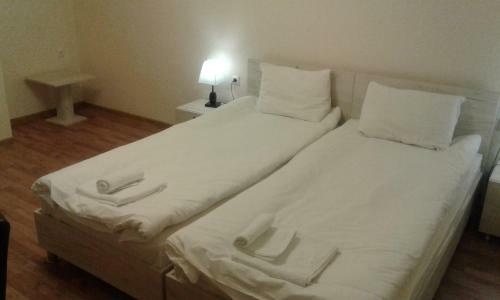 Hotel Soncho Gudauri