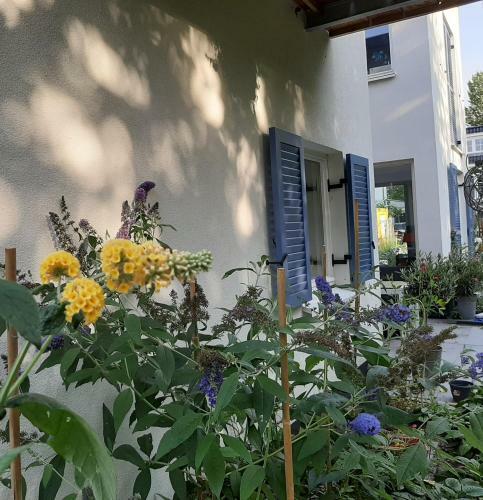 Apartamento Logeerstudio 22