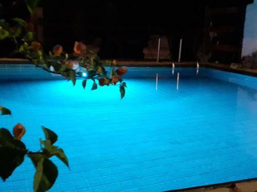 Coral Riviera Sardinia Villa & Cottage