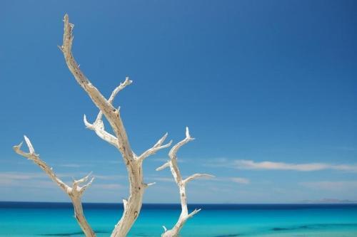 Apartamento Alghero Attico Angela Con Grande Veranda